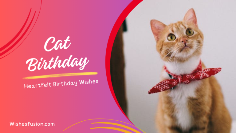 Birthday Wishes For Cat