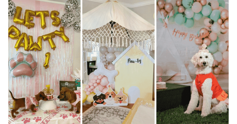 dog birthday party ideas