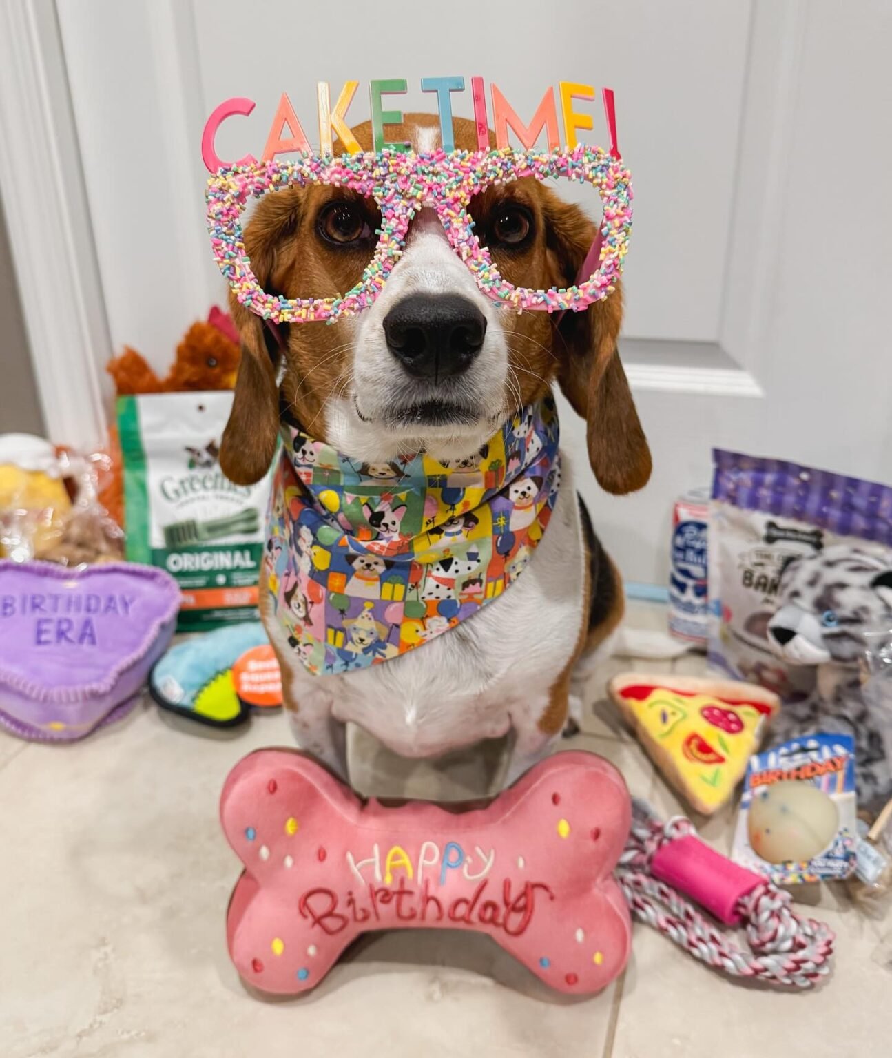 29 Dog Birthday Gift Ideas to Make Your Pup’s Day Special — free download