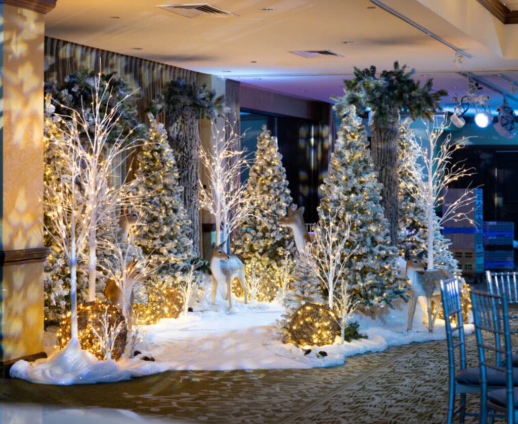 Winter Wonderland Best February Birthday Party Ideas